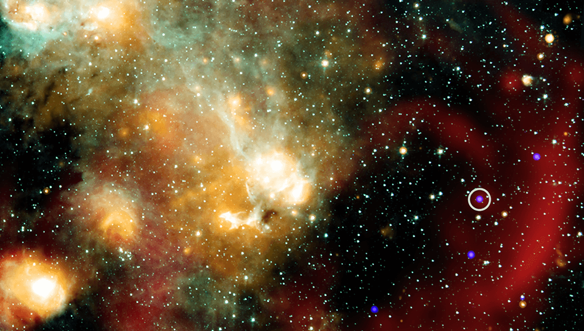 “Unlike Anything We Have Seen Before”: Regular Repeating Signal Puzzles Astronomers