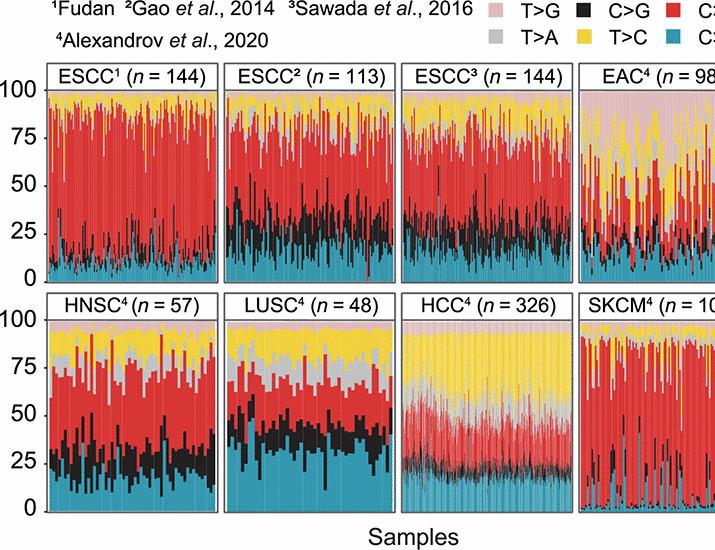 Proteogenomic characterization reveals that lipid droplet formation promotes esophageal squamous cell cancer progression | Science Translational Medicine