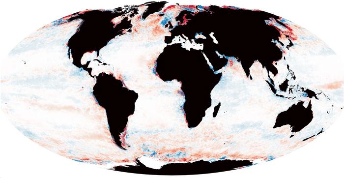 Ocean Darkening: A Silent Driver of Marine Biodiversity Disruption