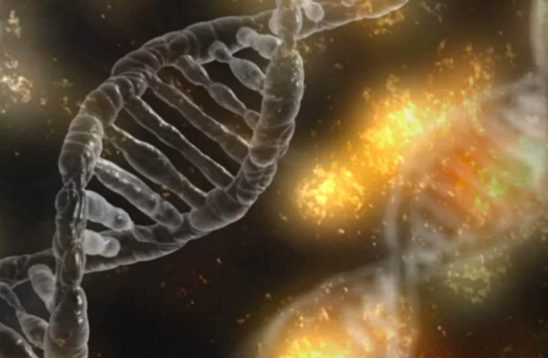 Scientists ID Genes That are Critical to Liver Regeneration