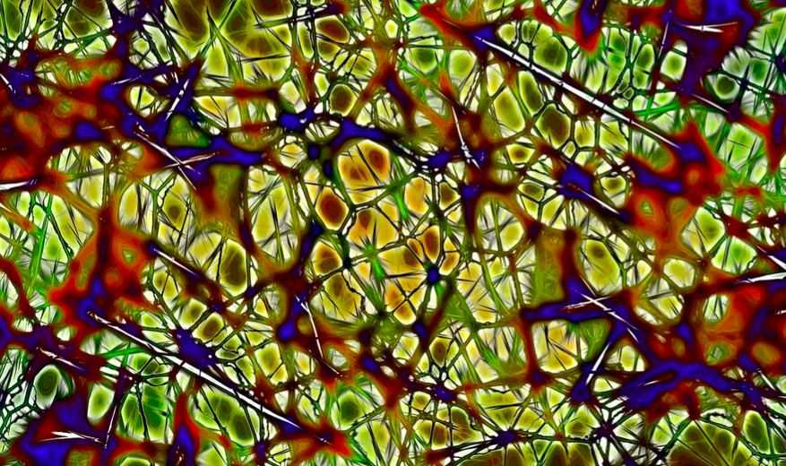 New Tech Dramatically Shortens Brain Tumor Diagnosis Wait Time