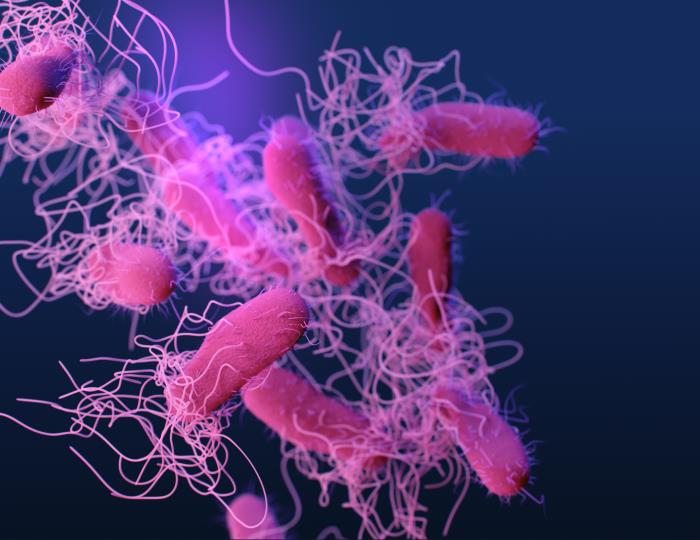 Creating More Potent Antibiotics by Combining Them