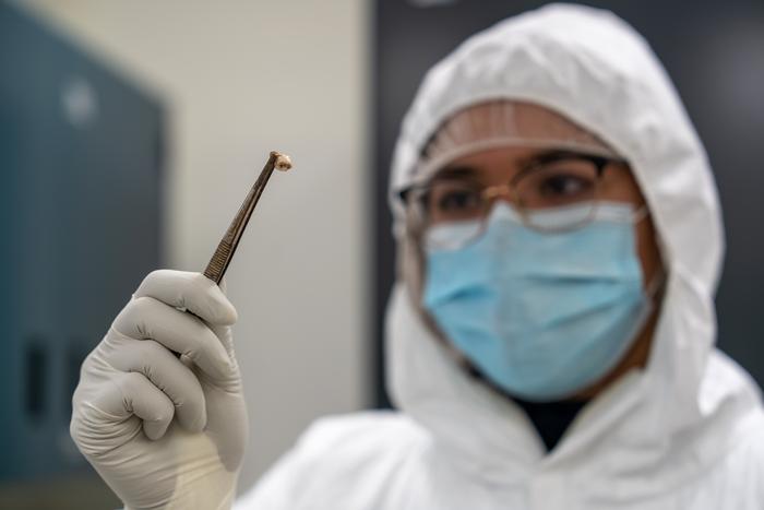 How One Gene Helped Plague Persistently Cause Pandemics