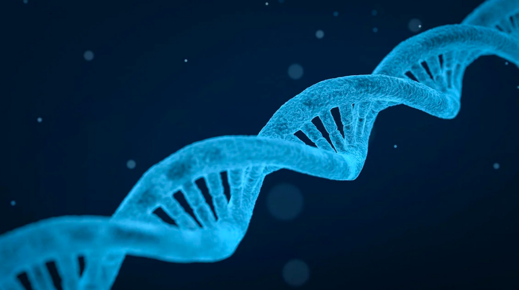 Introners: Genetic Elements That Species Transfer, Boosting Diversity