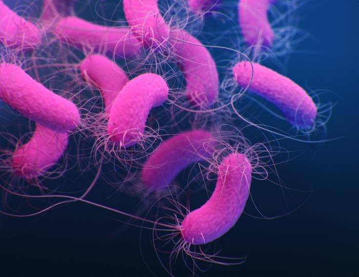 This Dangerous Superbug Can Consume Medical Plastics