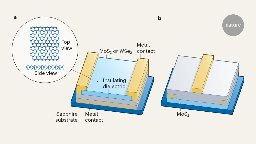 Computer processors built from 2D materials