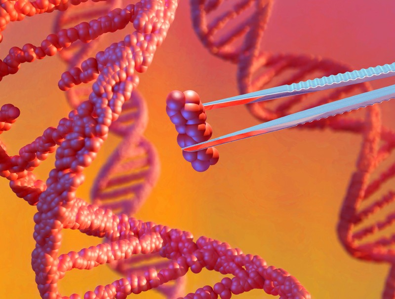 Personalized, in vivo gene editing for a newborn