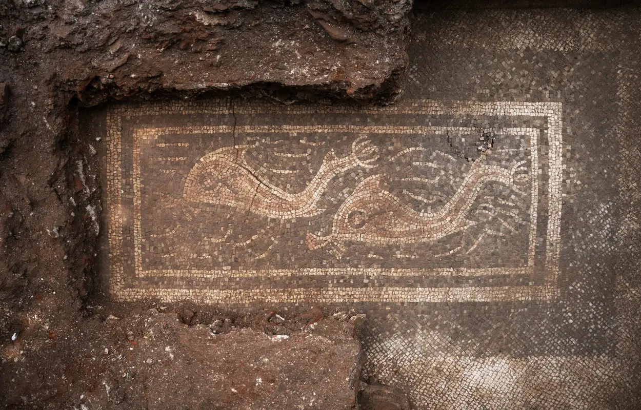 Dolphin mosaic discovery is part of an expansive Roman villa complex