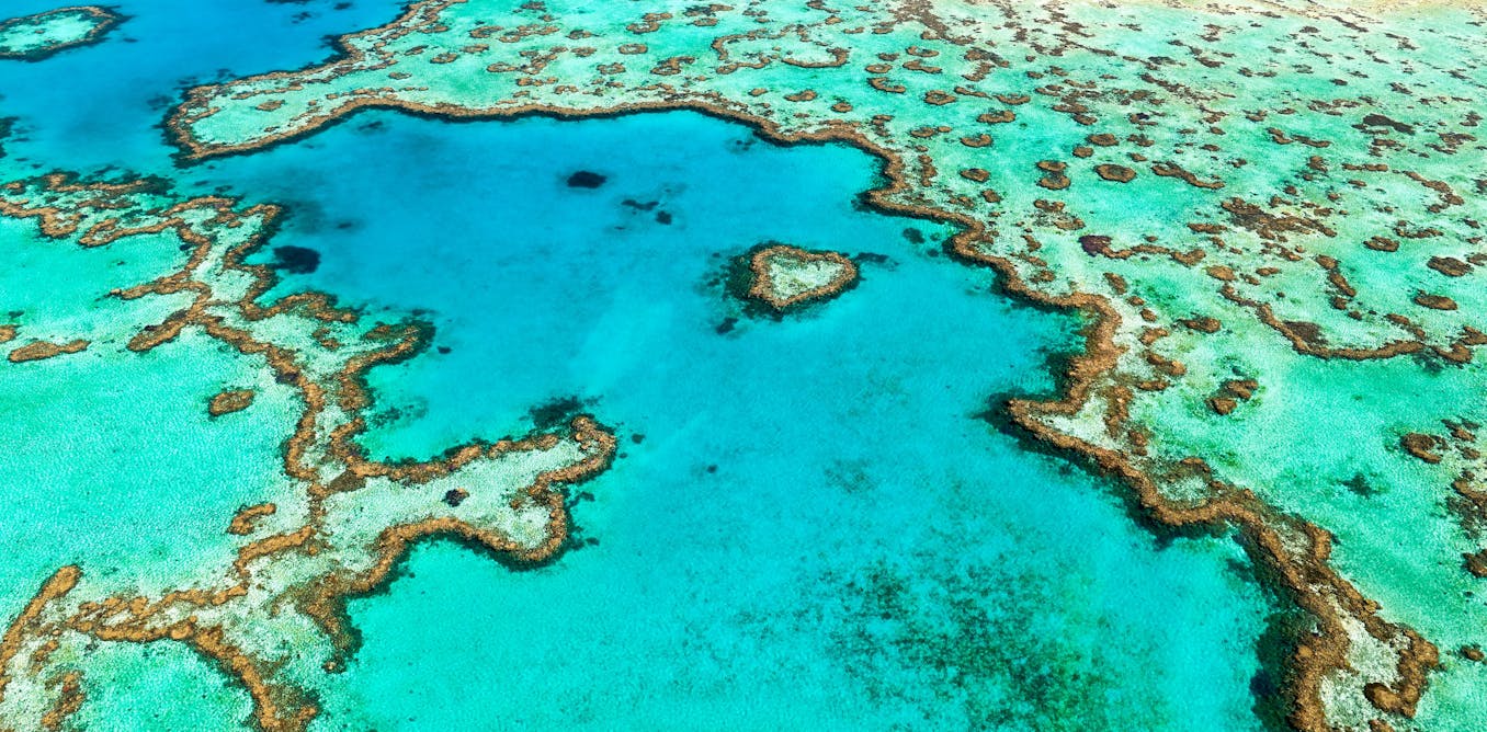 Will surging sea levels kill the Great Barrier Reef? Ancient coral fossils may hold the answer