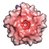 Engineered protein nanofibers show light-controlled conductivity without chemical modification