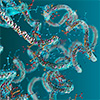 AI could accelerate protein engineering