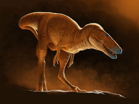 New Species of Tyrannosauroid Dinosaur Discovered in Mongolia