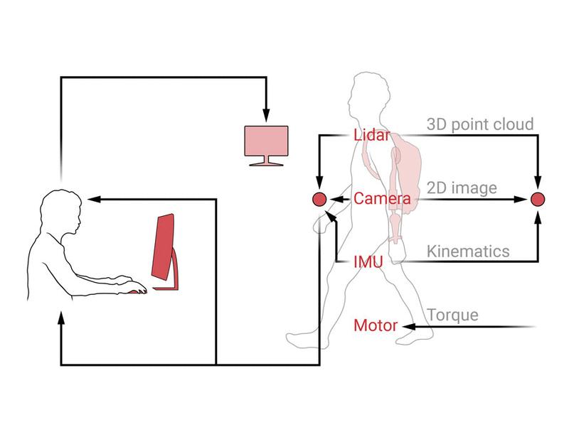 AI in therapeutic and assistive exoskeletons and exosuits: Influences on performance and autonomy | Science Robotics
