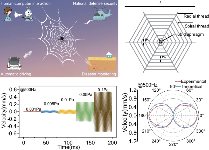 High sensitivity acoustic flow sensing based on bio-inspired web-like structure for panoramic acoustic perception