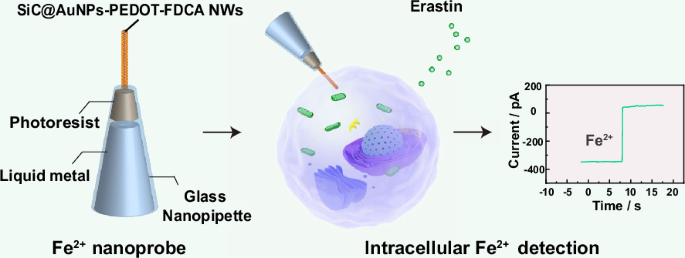 Development of electrochemical nanoprobe for real-time intracellular measurements of Fe2+ during ferroptosis