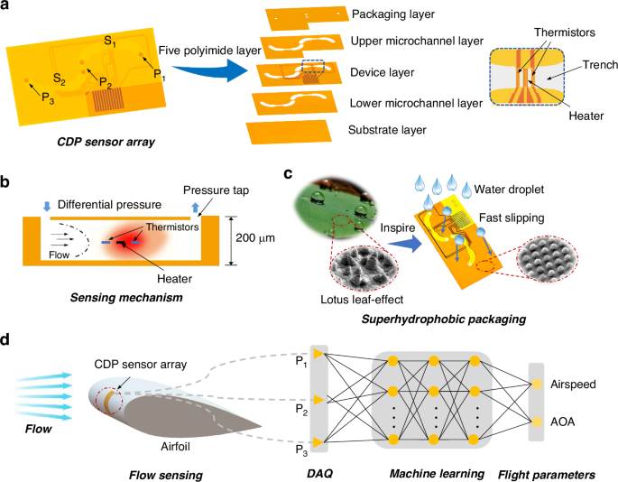 Flexible calorimetric differential pressure sensor array integrated with a superhydrophobic surface for flight parameter estimation