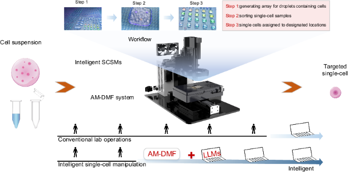 Intelligent single-cell manipulation: LLMs- and object detection-enhanced active-matrix digital microfluidics