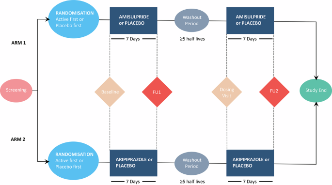Effects of antipsychotics on human cognitive function: causal evidence from healthy volunteers following sustained D2/D3 antagonism, D2/D3 partial agonism and placebo
