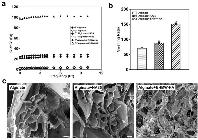 Correction: Bioengineered tumor microenvironments with naked mole rats high-molecular-weight hyaluronan induces apoptosis in breast cancer cells