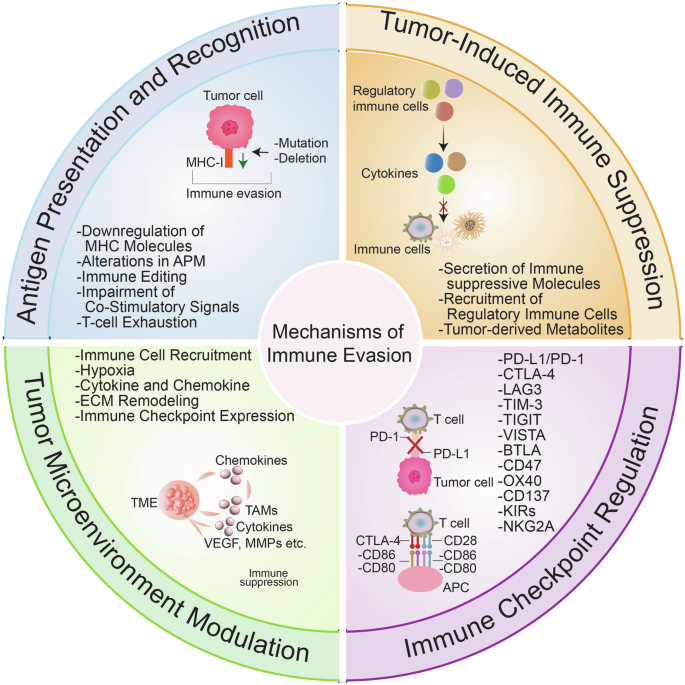 Immune evasion in cancer: mechanisms and cutting-edge therapeutic approaches