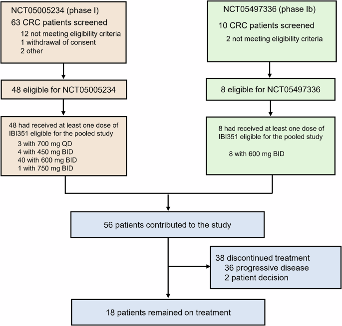 Efficacy and safety of IBI351 (fulzerasib) monotherapy in KRASG12C inhibitor-naïve Chinese patients with KRASG12C-mutated metastatic colorectal cancer: a pooled analysis from phase I part of two studies