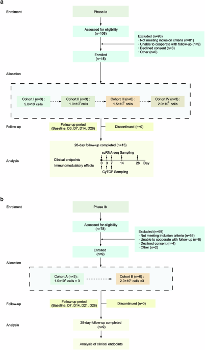 Dose-escalation studies of mesenchymal stromal cell therapy for decompensated liver cirrhosis: phase Ia/Ib results and immune modulation insights