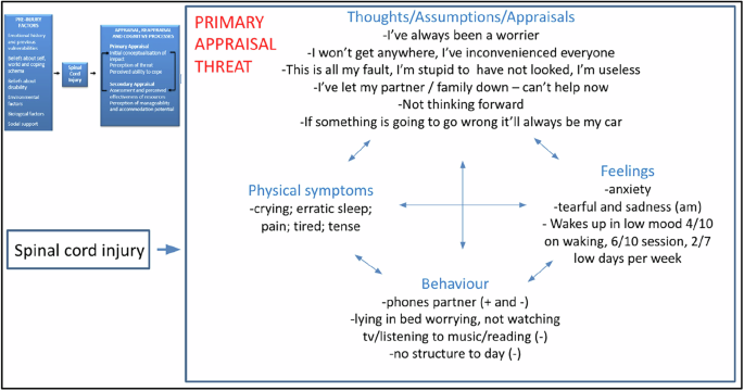 Anxiety and adjustment following SCI: a transdiagnostic psychological intervention combining Cognitive Behavioural Therapy (CBT) and Coping Effectiveness Training (CET)