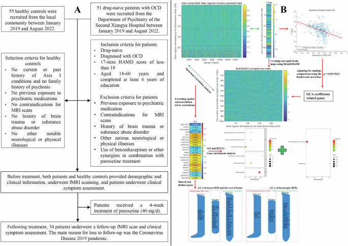 Decoding the striatum of drug-naive patients with obsessive-compulsive disorder: a transcriptome and longitudinal functional magnetic resonance imaging study