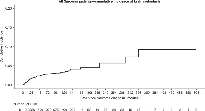 Cumulative incidence and survival outcomes of brain metastases in sarcoma: a large single center retrospective analysis