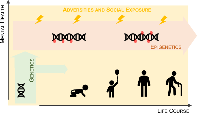 Interplay between genes and social environment: from epigenetics to precision medicine