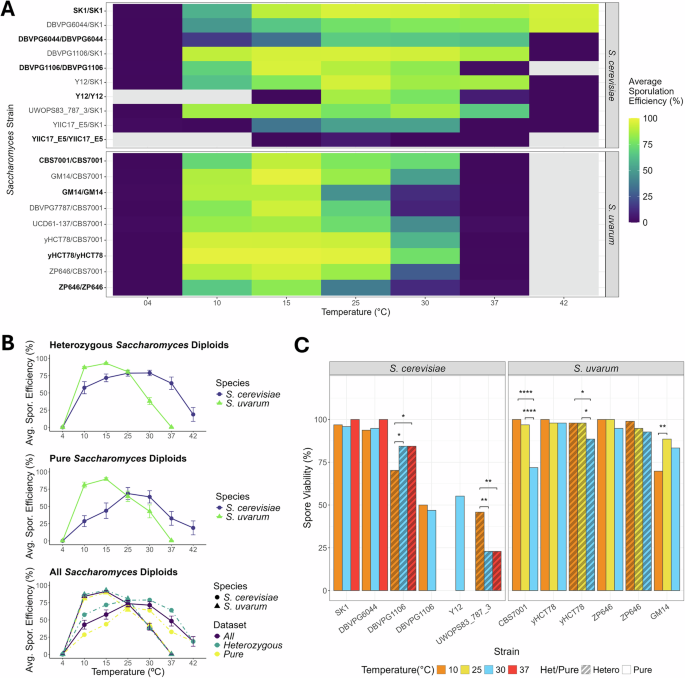Impacts of temperature on recombination rate and meiotic success in thermotolerant and cold-tolerant yeast species