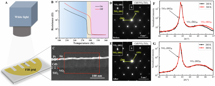 Purely electronic insulator-metal transition in rutile VO2