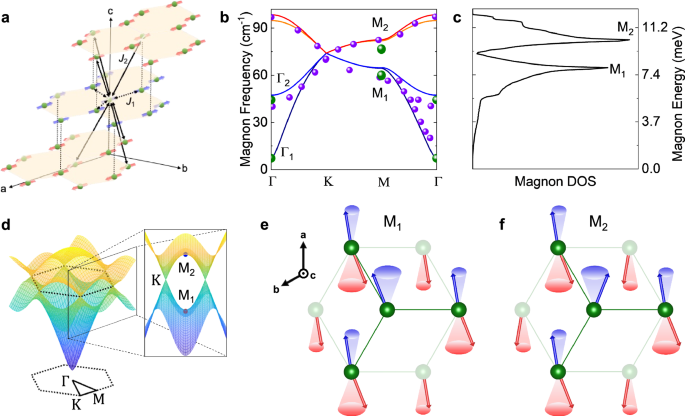 Long-lived zone-boundary magnons in an antiferromagnet