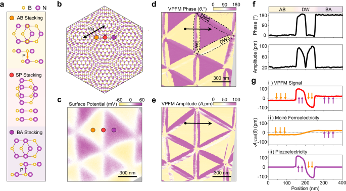 Unusual topological polar texture in moiré ferroelectrics