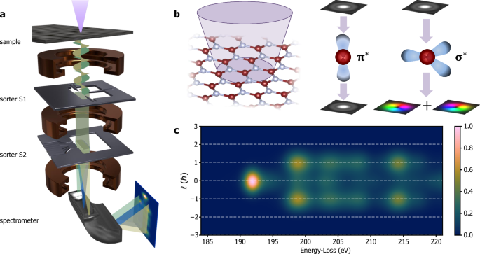 Demonstration of angular-momentum-resolved electron energy-loss spectroscopy