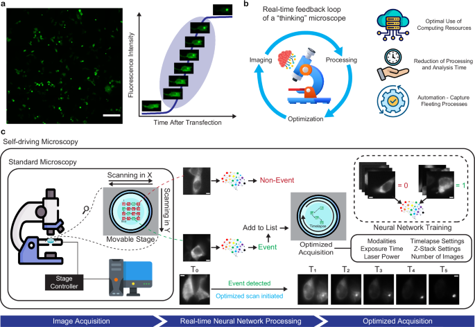 Self-driving microscopy detects the onset of protein aggregation and enables intelligent Brillouin imaging