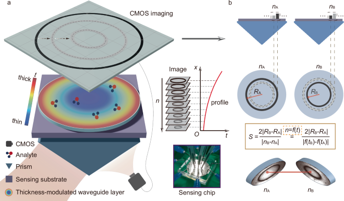 Ultrasensitive imaging-based sensor unlocked by differential guided-mode resonance