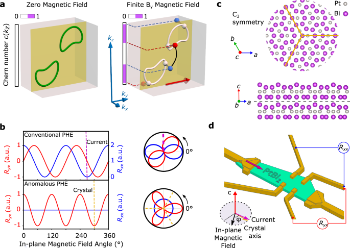 Dissipationless transport signature of topological nodal lines