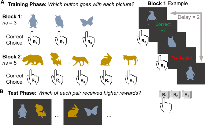 Striatal dopamine can enhance both fast working memory, and slow reinforcement learning, while reducing implicit effort cost sensitivity