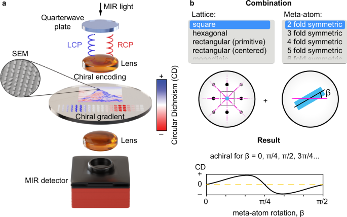 Chirality encoding in resonant metasurfaces governed by lattice symmetries