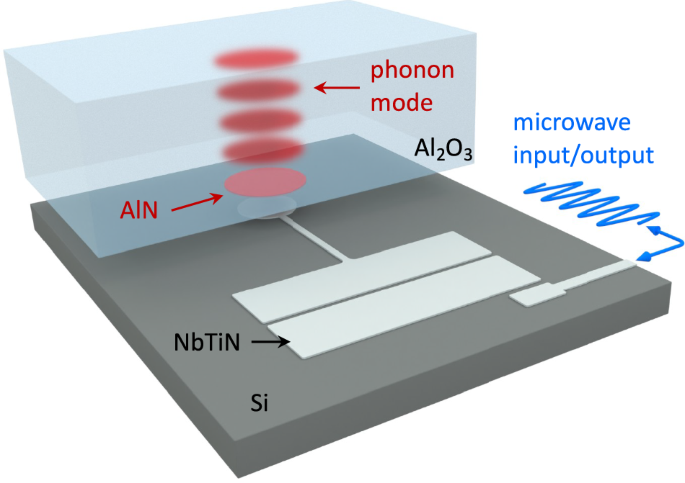 Generation of large amplitude phonon states in quantum acoustics