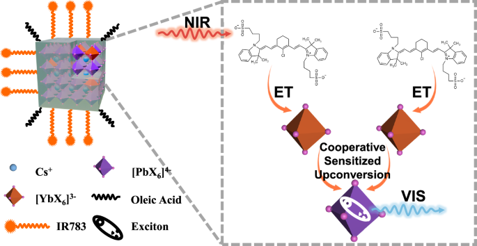 Near infrared sensitized exciton upconversion luminescence from inorganic perovskite nanocrystals