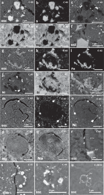 Abundant microchondrules in 162173 Ryugu suggest a turbulent origin for primitive asteroids