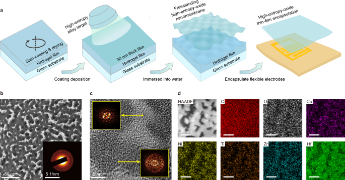 2D fracture-resistant high-entropy-oxide scaffold enabled multifunctional nanomembrane