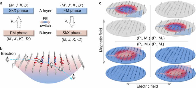 Topological layer Hall effect in two-dimensional type-I multiferroic heterostructure