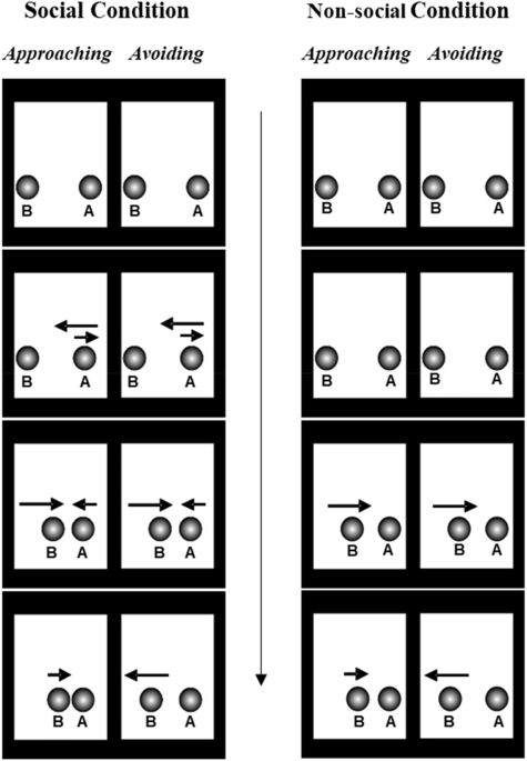 Human newborns spontaneously attend to prosocial interactions