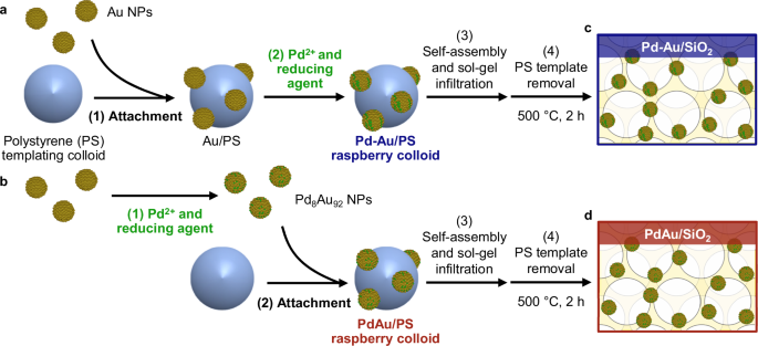 Nanoscale wetting controls reactive Pd ensembles in synthesis of dilute PdAu alloy catalysts