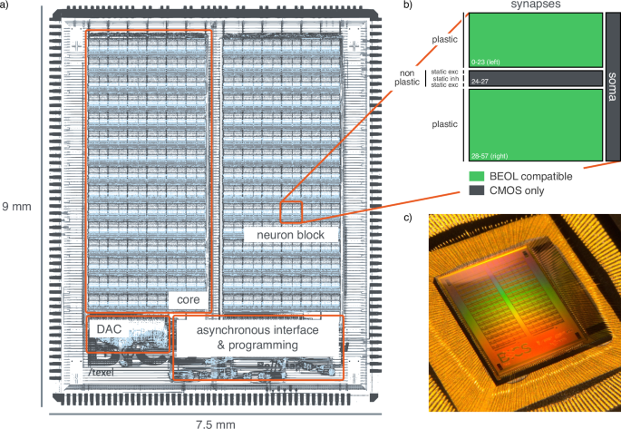A neuromorphic processor with on-chip learning for beyond-CMOS device integration