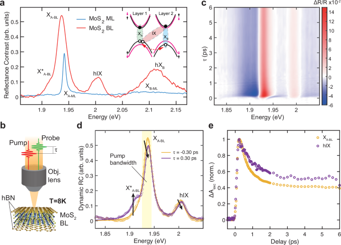 Femtosecond switching of strong light-matter interactions in microcavities with two-dimensional semiconductors