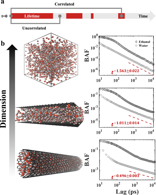 Binding memory of liquid molecules